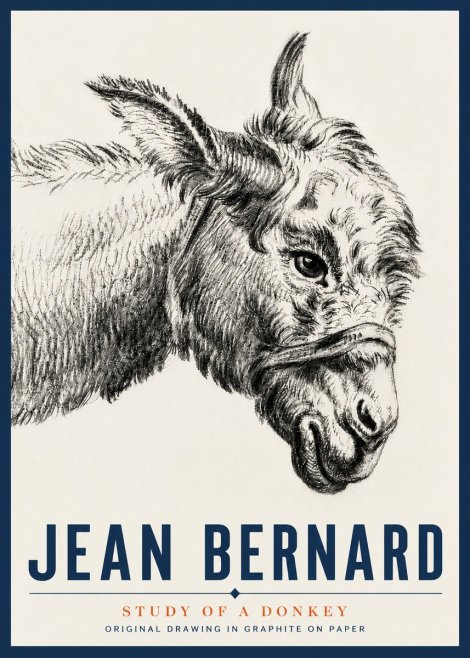 Jean Bernard Study of a Donkey I No5 - Póster