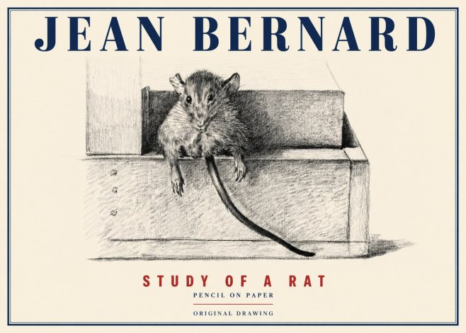 Jean Bernard Study of a Rat I No4 - Póster