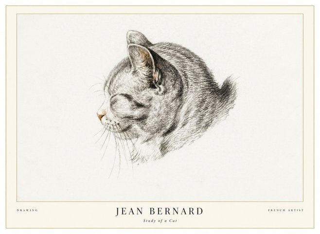 Jean Bernard Study of a Cat I No1 - Póster