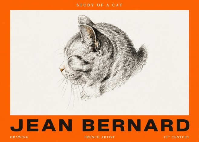 Jean Bernard Study of a Cat I No2 - Póster