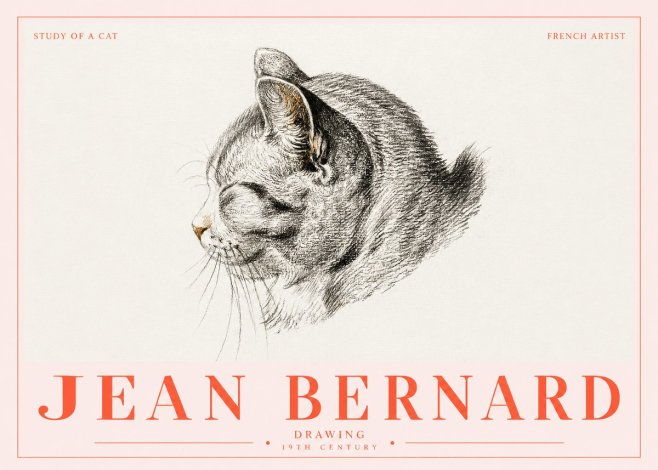 Jean Bernard Study of a Cat I No5 - Póster