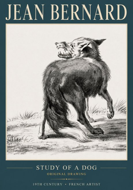 Jean Bernard Study of a Dog II No3 - Póster