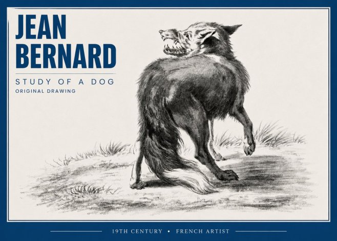 Jean Bernard Study of a Dog II No4 - Póster
