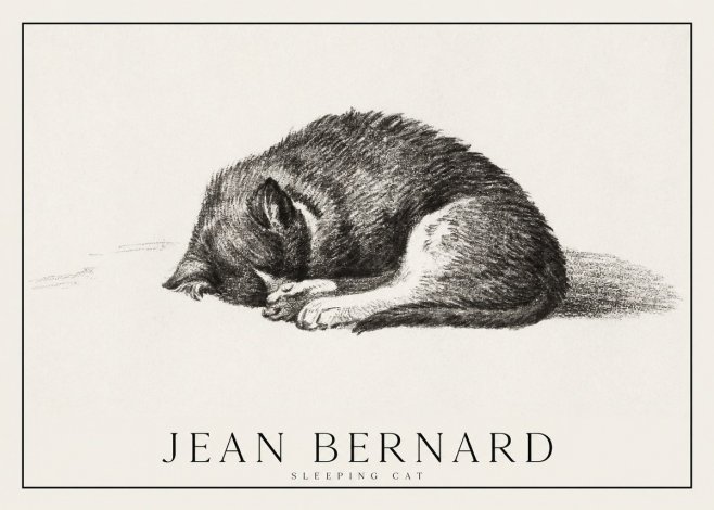 Jean Bernard Sleeping Cat III No1 - Póster