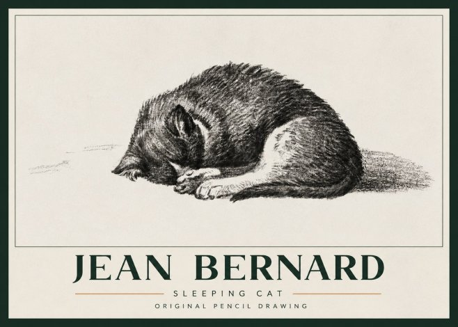 Jean Bernard Sleeping Cat III No3 - Póster
