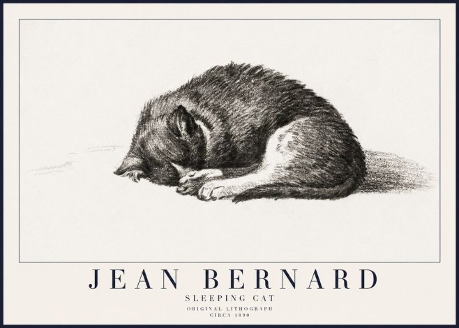 Jean Bernard Sleeping Cat III No6 - Póster