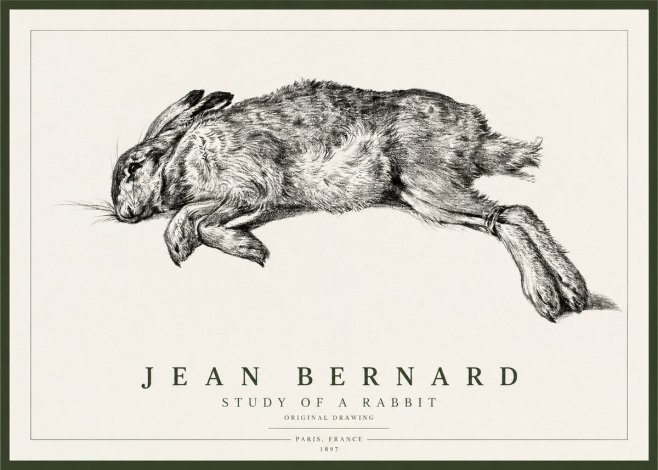 Jean Bernard Study of a Rabbit No1 - Póster
