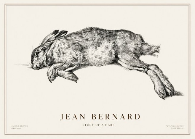 Jean Bernard Study of a Rabbit No3 - Póster