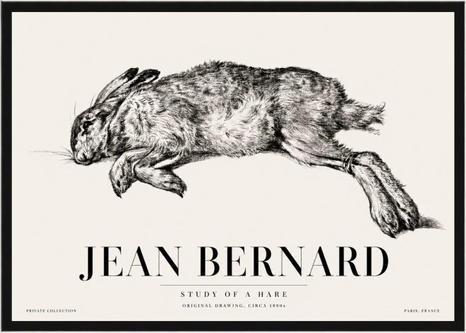 Jean Bernard Study of a Rabbit No5 - Póster