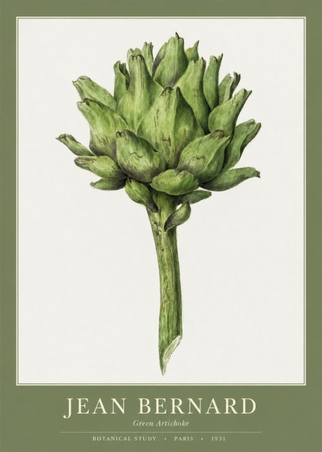 Jean Bernard Green Artichoke No1 - Póster
