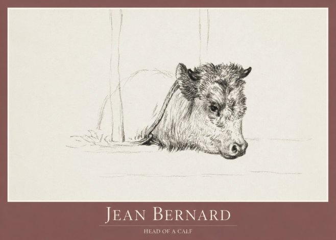 Jean Bernard Study of a Calf I No2 - Póster