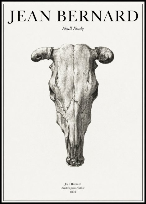Jean Bernard Skull Study No1 - Póster