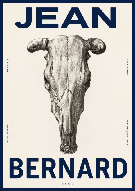 Jean Bernard Skull Study No4 - Póster