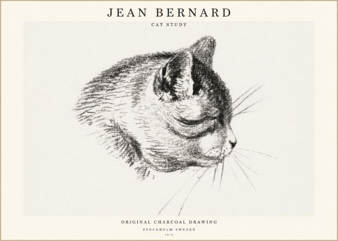 Jean Bernard Cat Study IV No1 - Póster