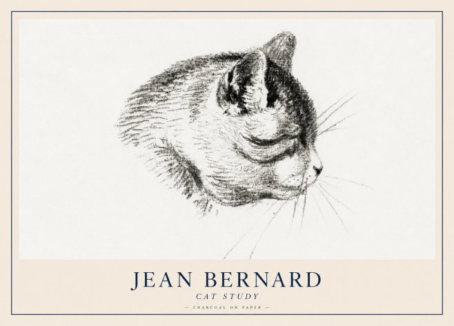 Jean Bernard Cat Study IV No2 - Póster