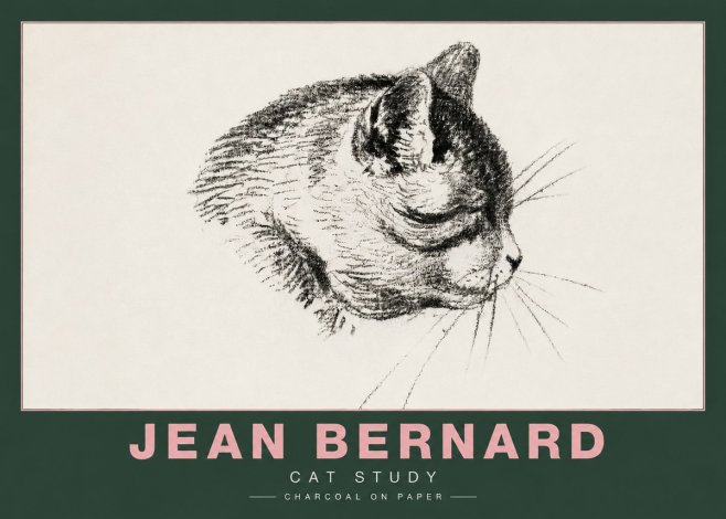 Jean Bernard Cat Study IV No4 - Póster