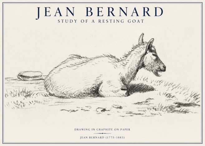 Jean Bernard Study of a Resting Goat No1 - Póster