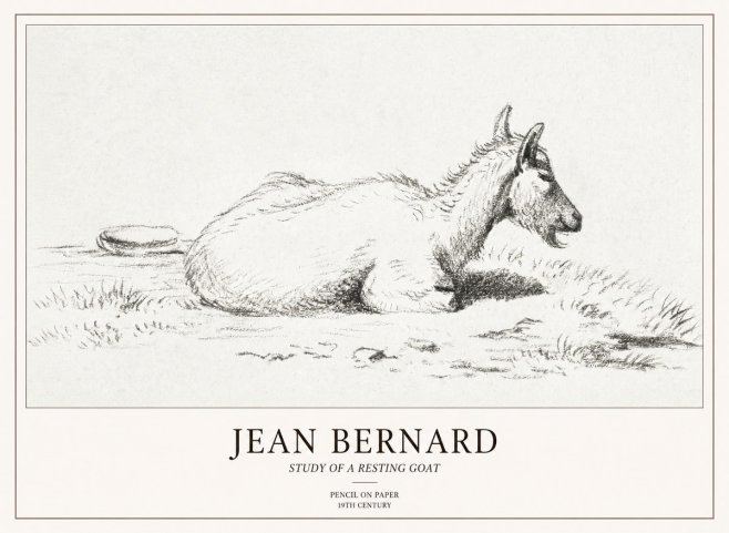 Jean Bernard Study of a Resting Goat No2 - Póster