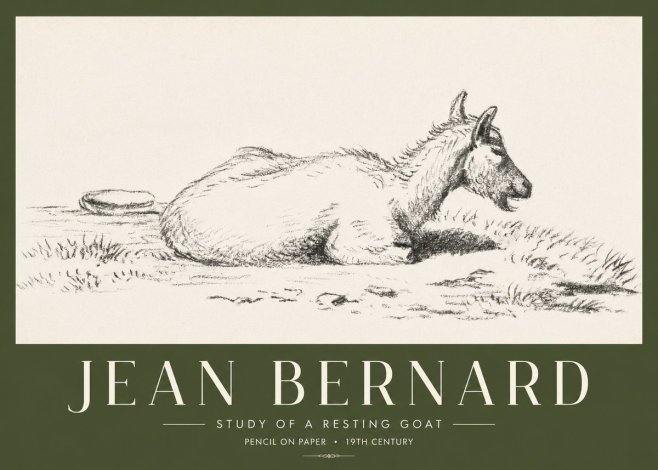 Jean Bernard Study of a Resting Goat No4 - Póster