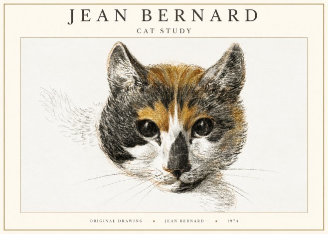 Jean Bernard Study of a Cat II No3 - Póster