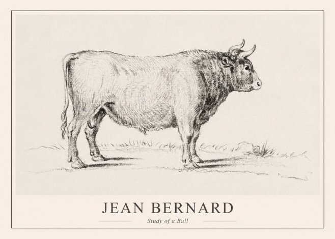Jean Bernard Study of a Bull I No1 - Póster