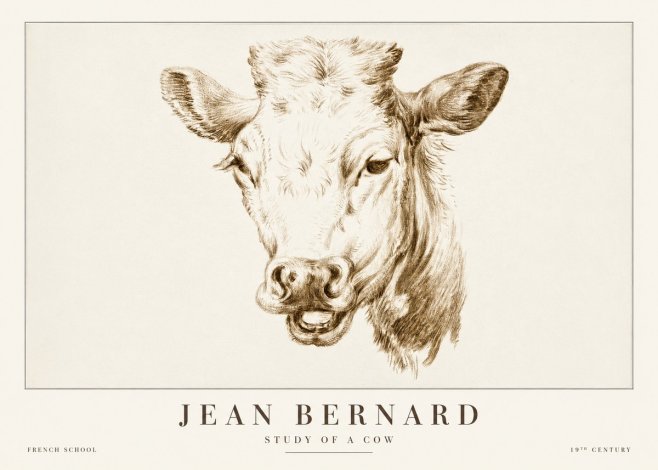Jean Bernard Study of a Cow IV No2 - Póster