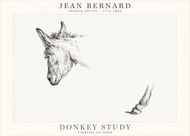 Jean Bernard Study of a Donkey II No2 - Póster