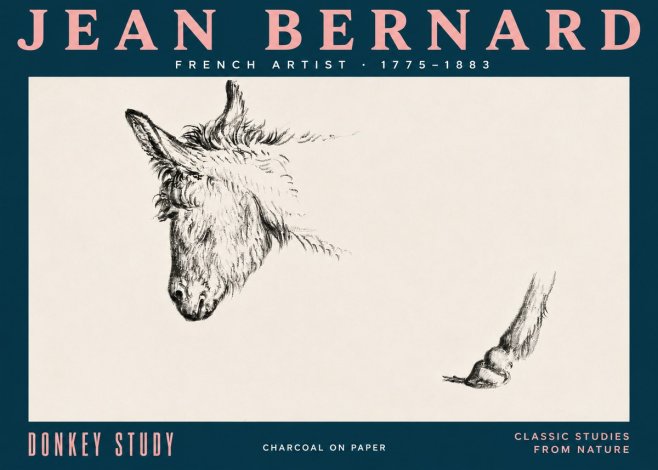 Jean Bernard Study of a Donkey II No5 - Póster