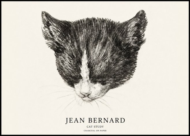 Jean Bernard Cat Study V No1 - Póster