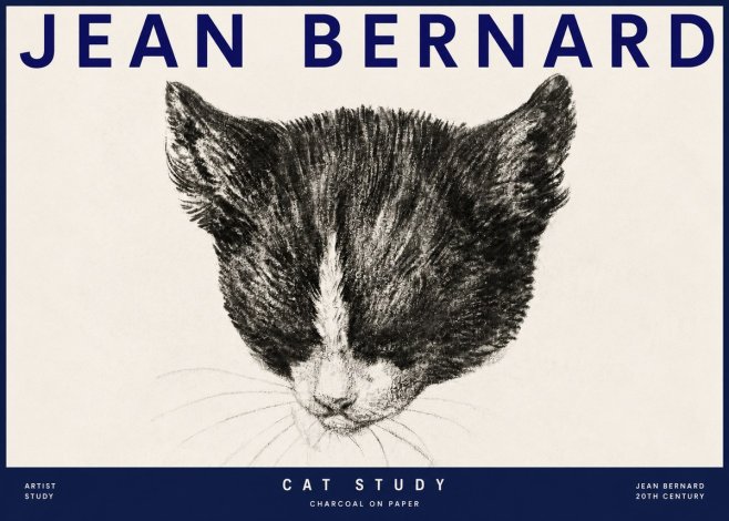 Jean Bernard Cat Study V No3 - Póster