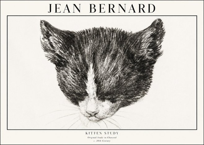 Jean Bernard Cat Study V No4 - Póster