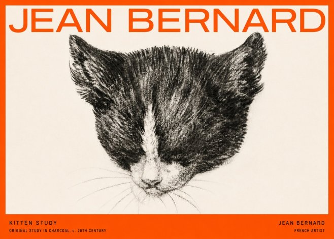 Jean Bernard Cat Study V No5 - Póster