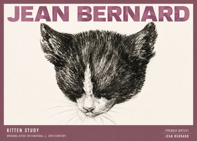 Jean Bernard Cat Study V No6 - Póster
