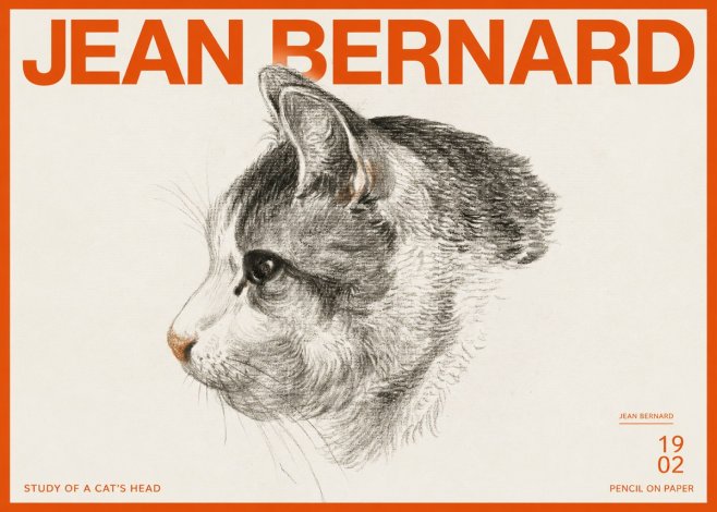 Jean Bernard Cat Study, Profile No3 - Póster
