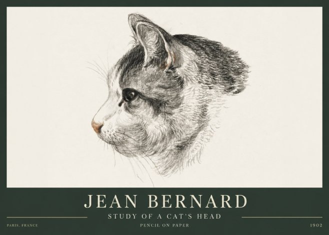 Jean Bernard Cat Study, Profile No4 - Póster