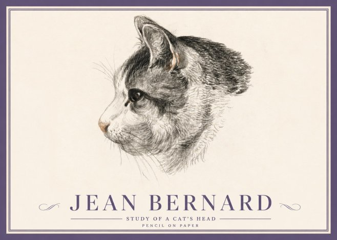 Jean Bernard Cat Study, Profile No5 - Póster