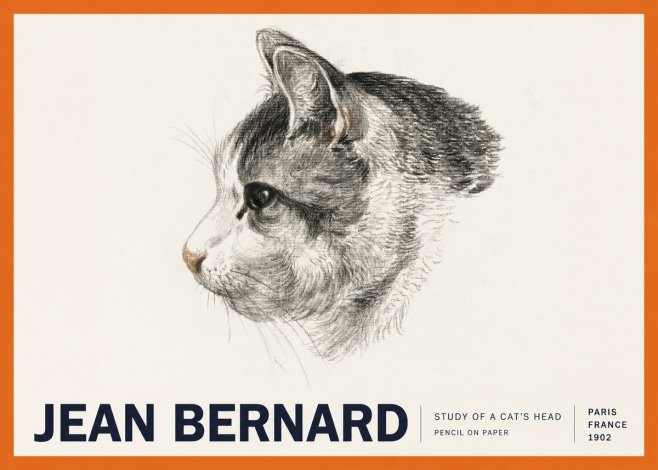 Jean Bernard Cat Study, Profile No6 - Póster