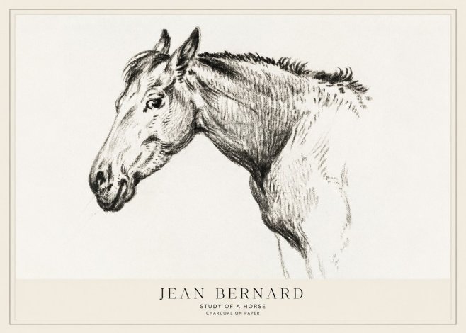 Jean Bernard Study of a Horse VI No1 - Póster