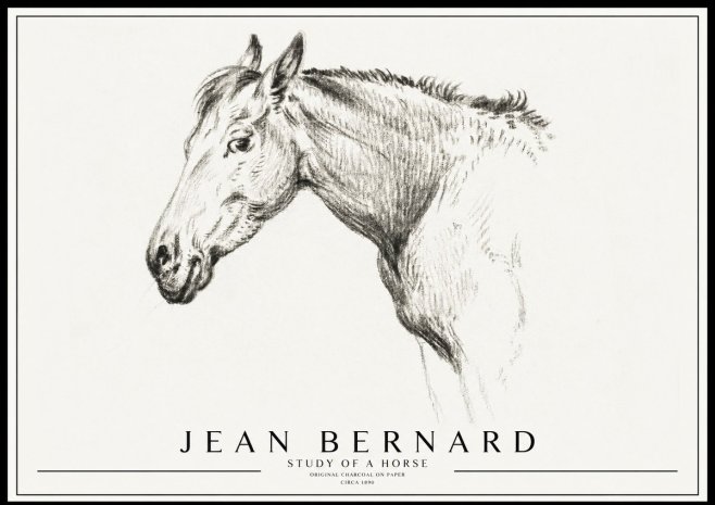 Jean Bernard Study of a Horse VI No3 - Póster