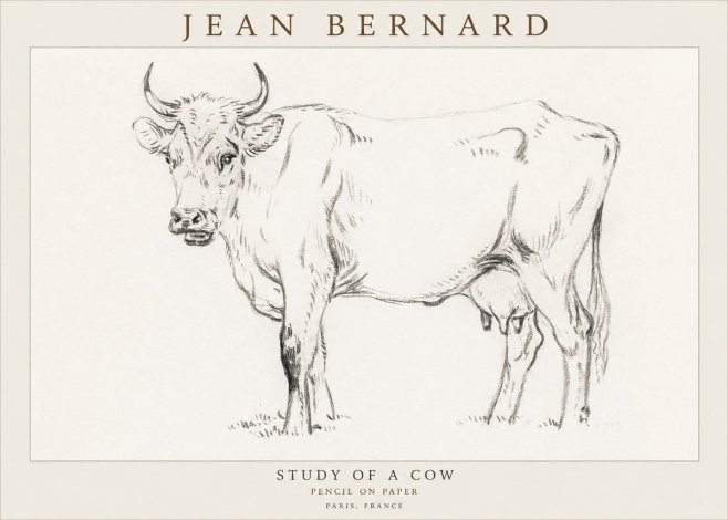 Jean Bernard Study of a Cow VI No3 - Póster