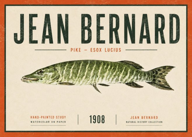 Jean Bernard Northern Pike No6 - Póster