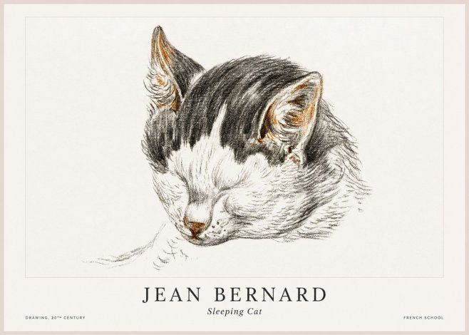 Jean Bernard Sleeping Cat V No1 - Póster