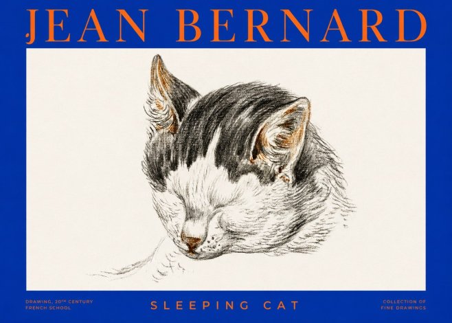 Jean Bernard Sleeping Cat V No2 - Póster