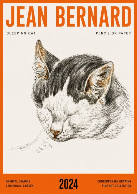 Jean Bernard Sleeping Cat V No4 - Póster