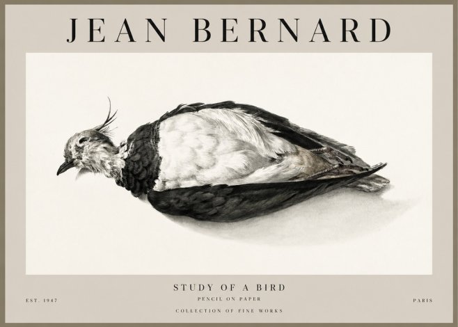 Jean Bernard Study of a Bird II No1 - Póster