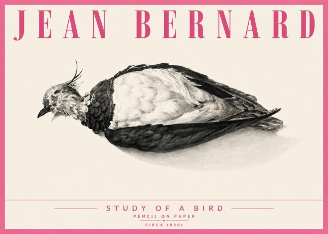 Jean Bernard Study of a Bird II No6 - Póster