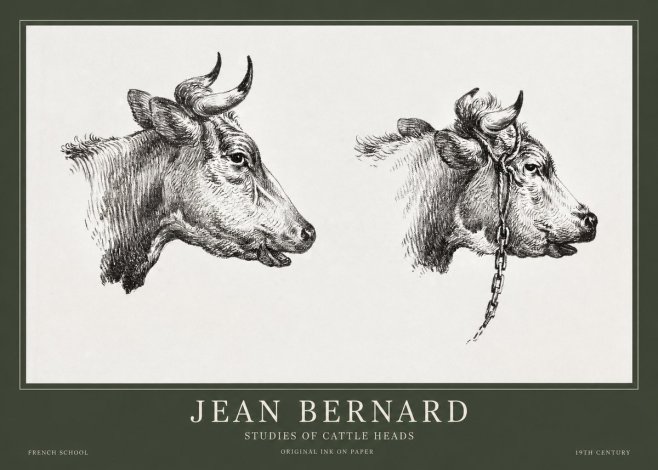 Jean Bernard Studies of Cattle Heads No1 - Póster