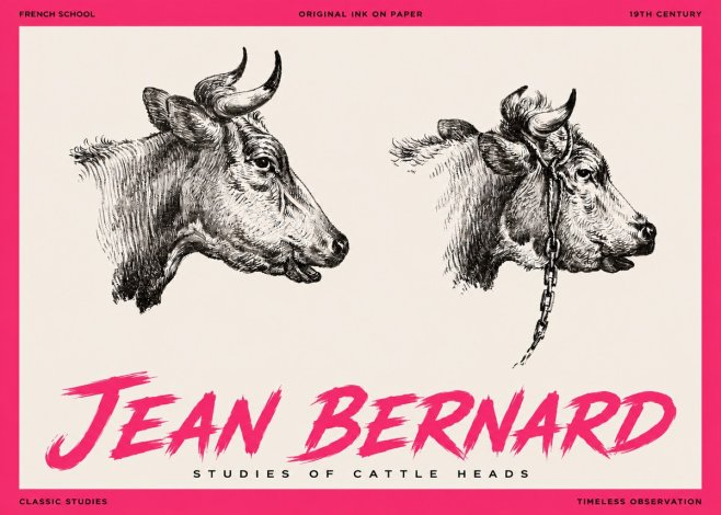 Jean Bernard Studies of Cattle Heads No3 - Póster
