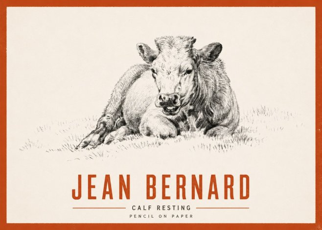 Jean Bernard Calf Resting No2 - Póster