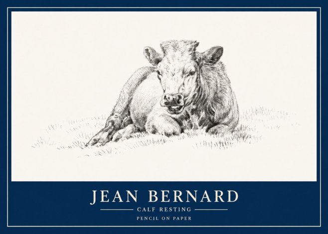 Jean Bernard Calf Resting No3 - Póster